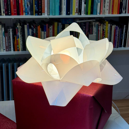 Stephen Johnson 'Surprise Surprise' Lamp 2011