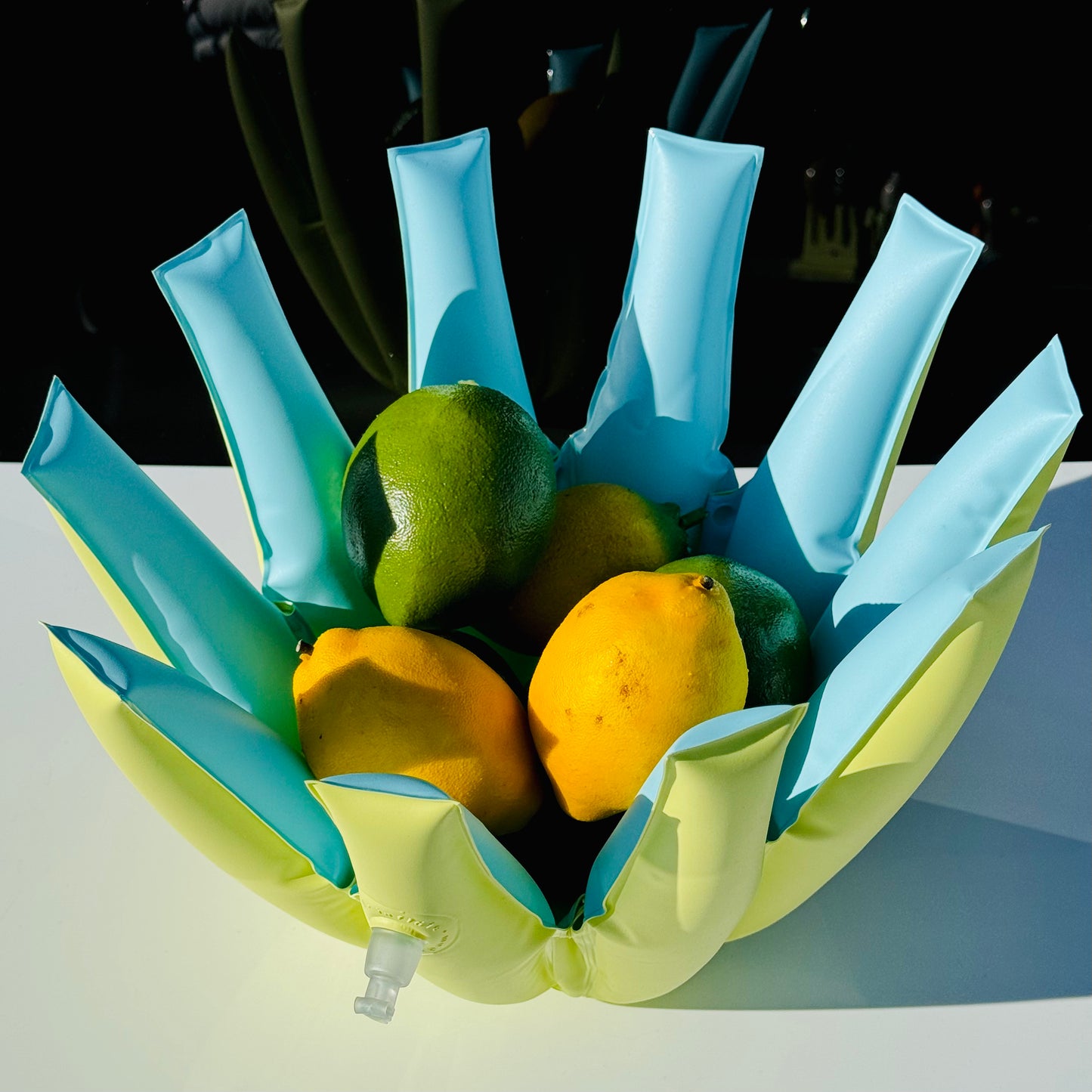 Deadstock INFLATE 'Fruit Bowl' 1995