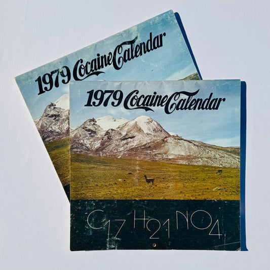 Scarce Vintage 1979 Coca*ne Calendar