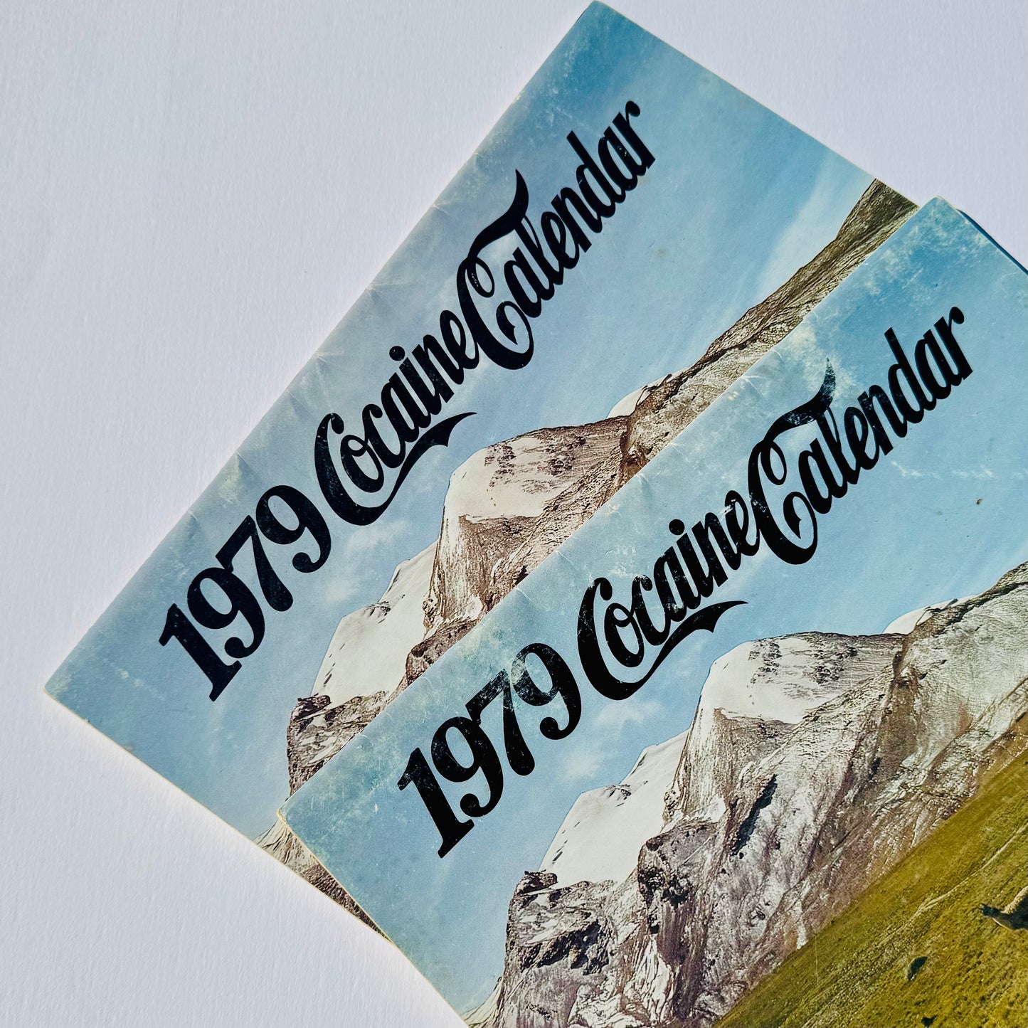 Scarce Vintage 1979 Coca*ne Calendar