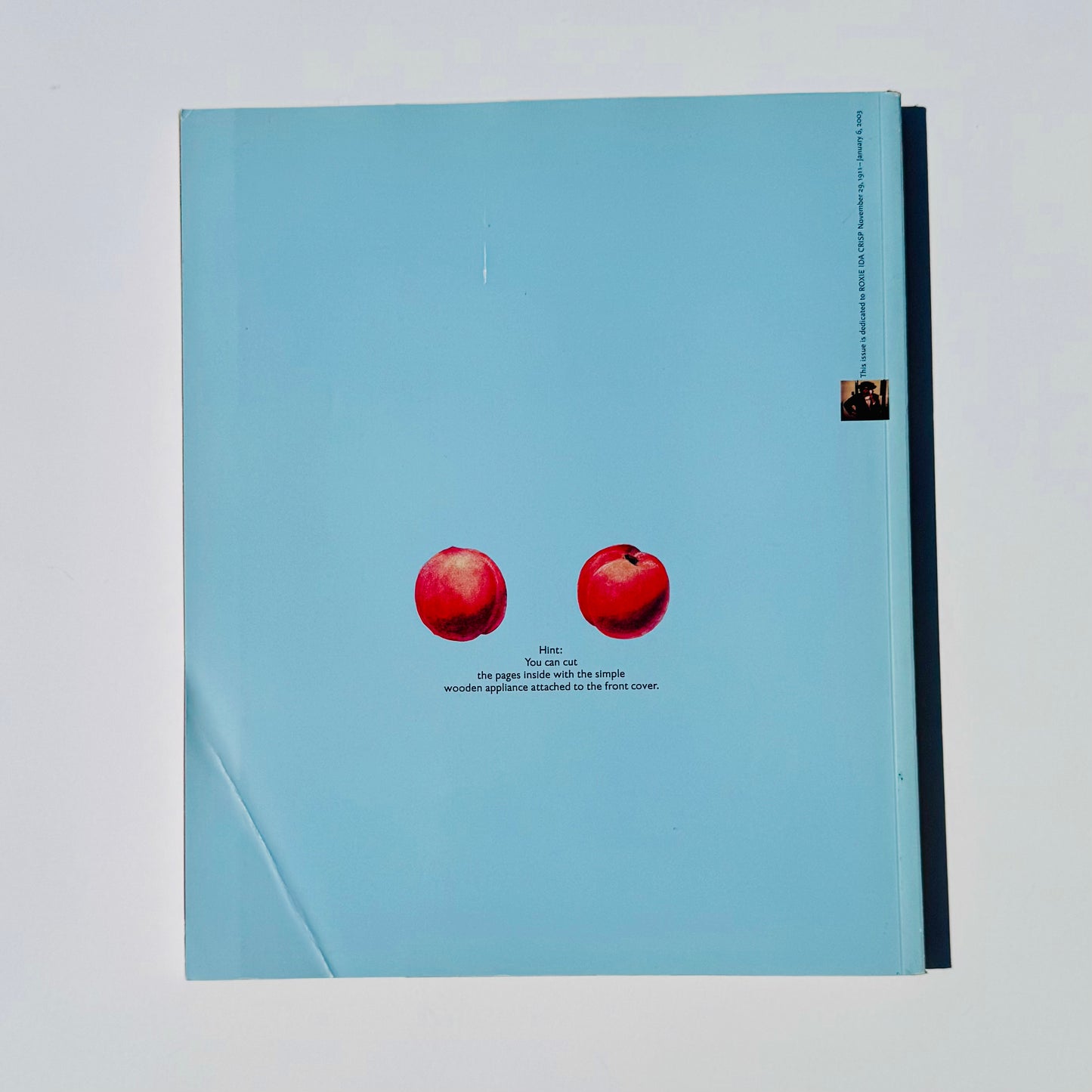 Nest Magazine #20 Spring 2003 / Uncut Issue