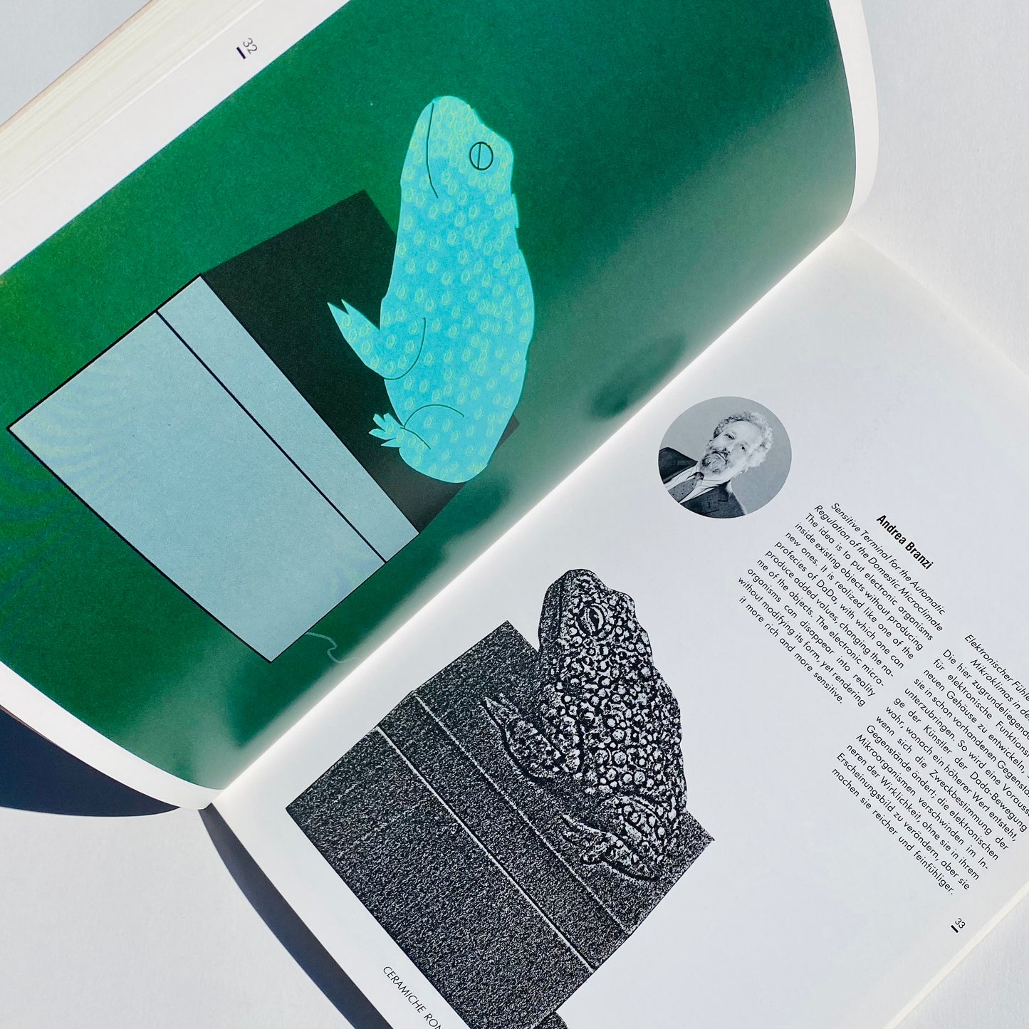 I Segni Dell' Habitat: Technology and Design of Italy