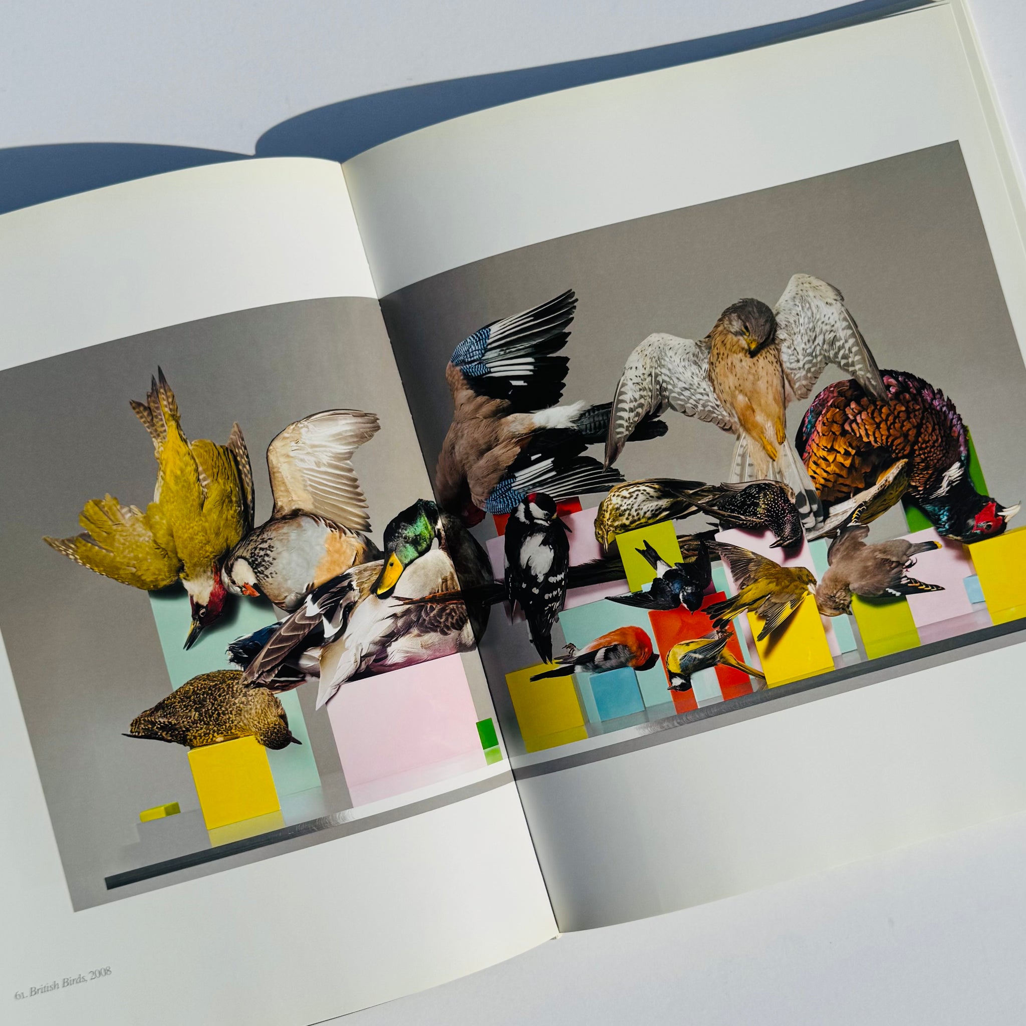 Nick Knight Hardback Monograph 1st ed. 2009 – ODD EYE