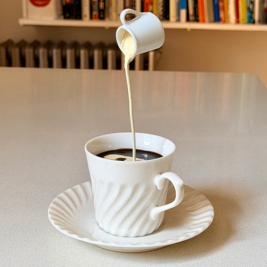 Vintage Japanese Sampuru Coffee and Cream 1990s