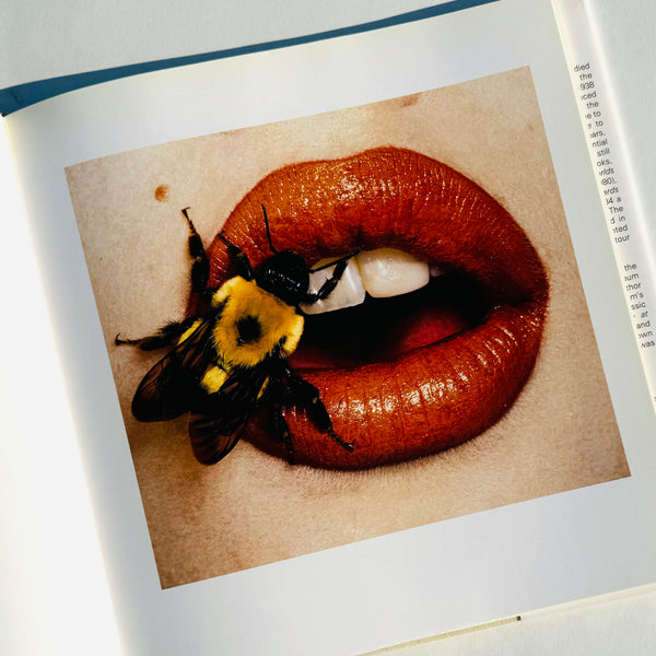 Still Life : Irving Penn Photographs 1938-2000 1st Ed. 2001