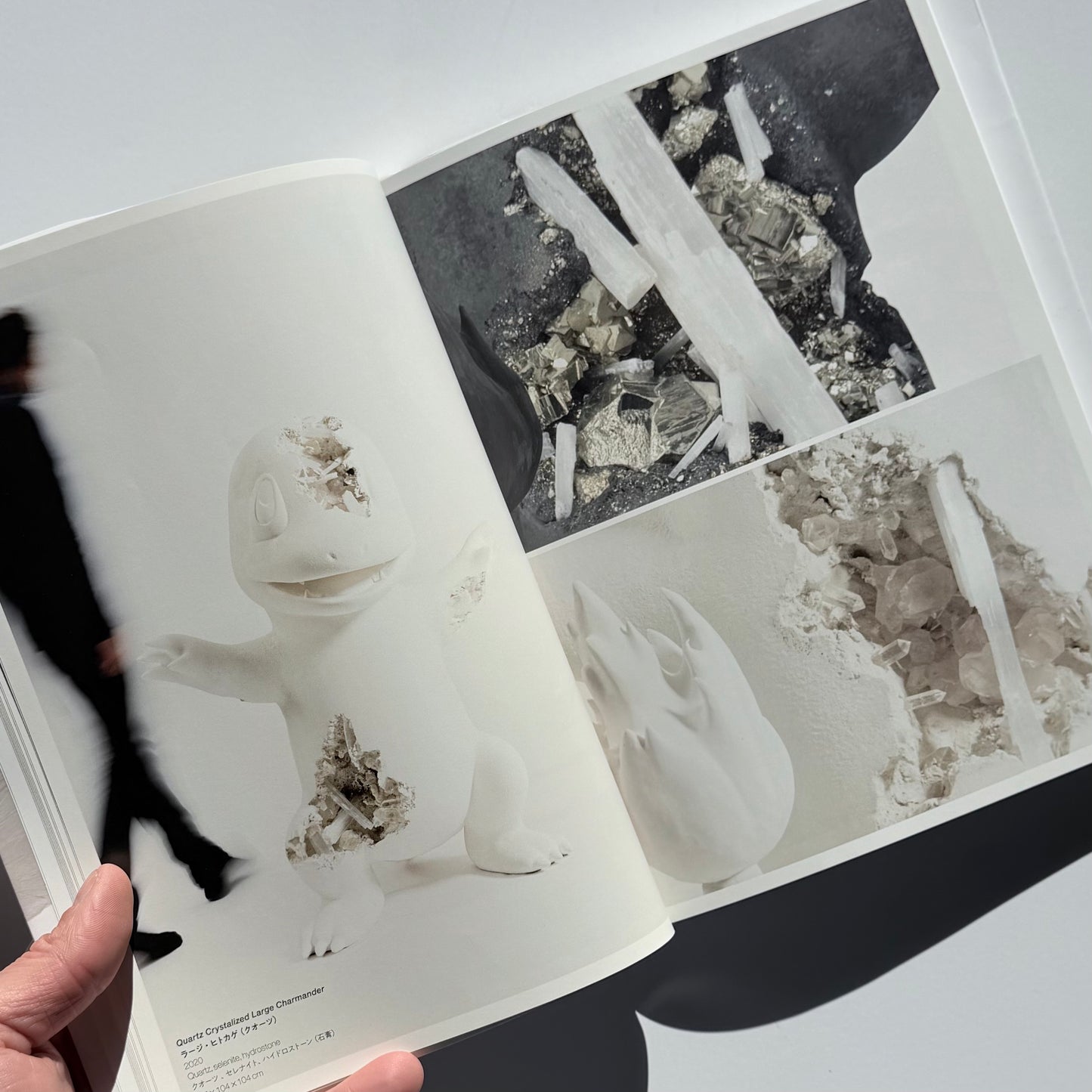 Arsham's Pokédex Softback Japanese 1st ed 2022