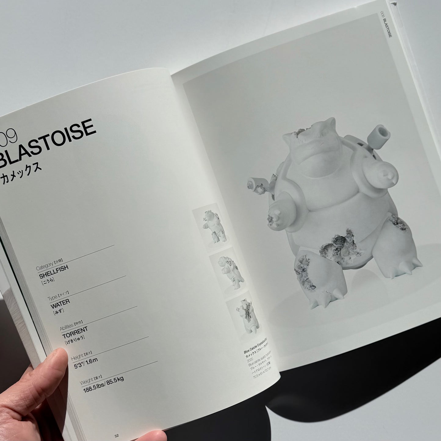 Arsham's Pokédex Softback Japanese 1st ed 2022