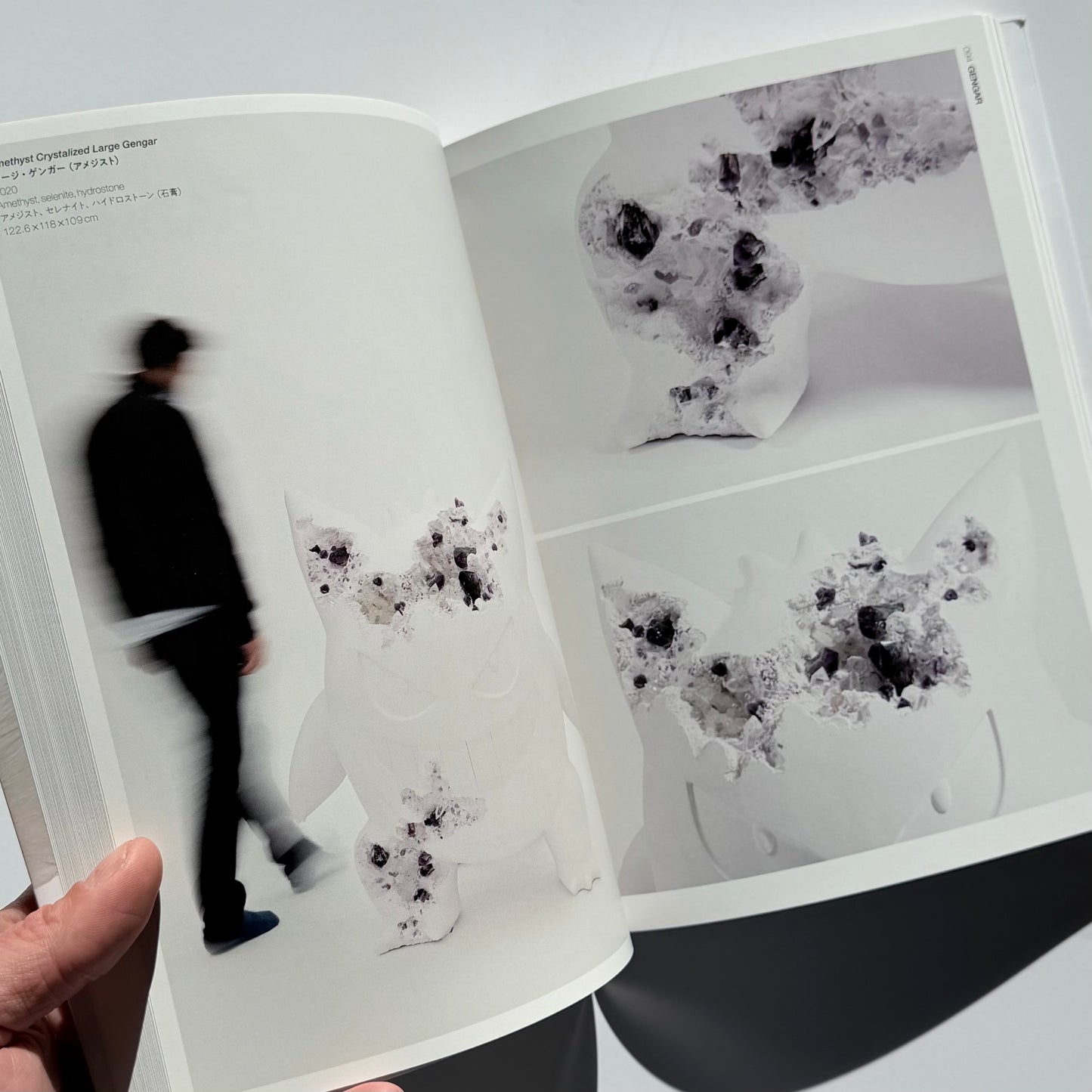 Arsham's Pokédex Softback Japanese 1st ed 2022