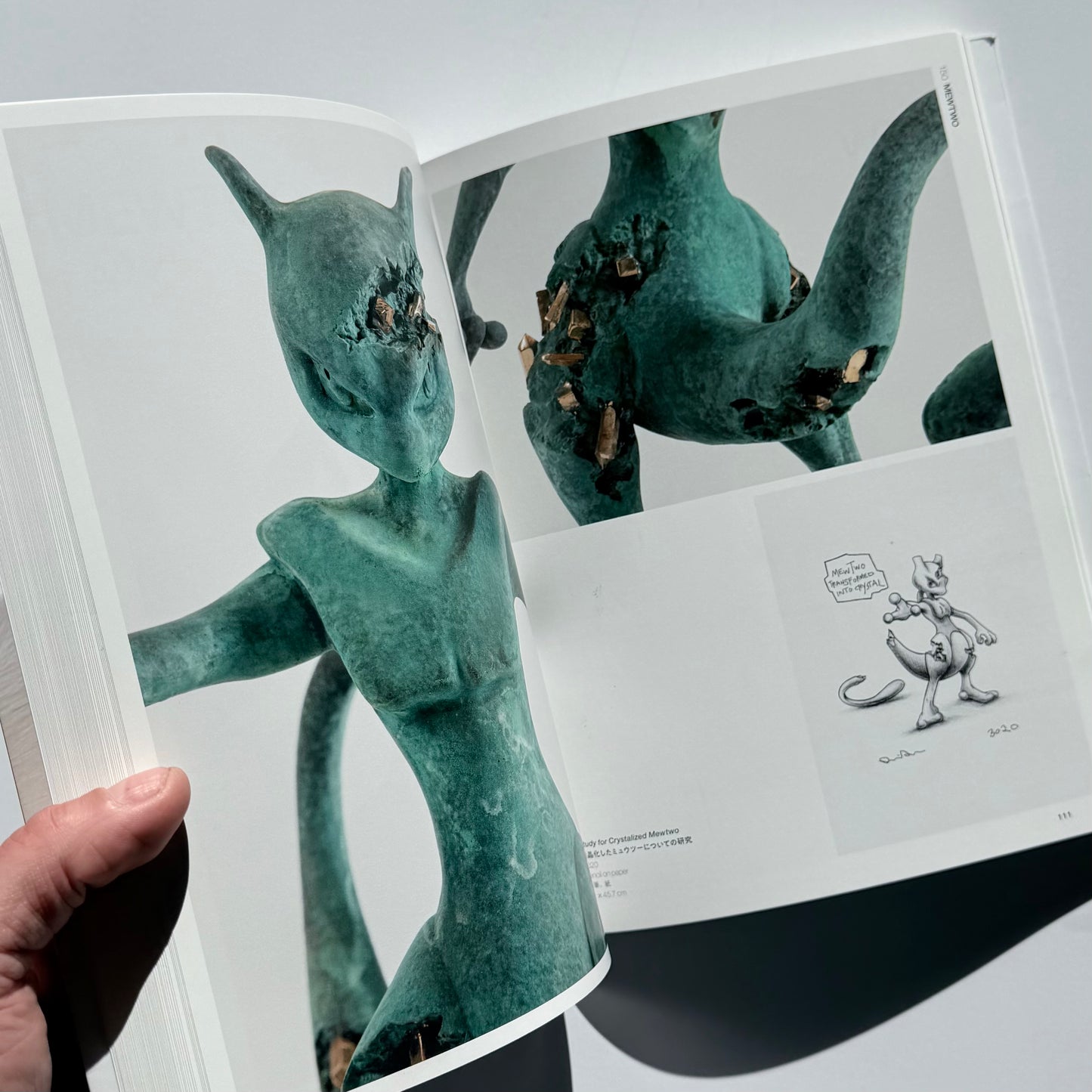 Arsham's Pokédex Softback Japanese 1st ed 2022