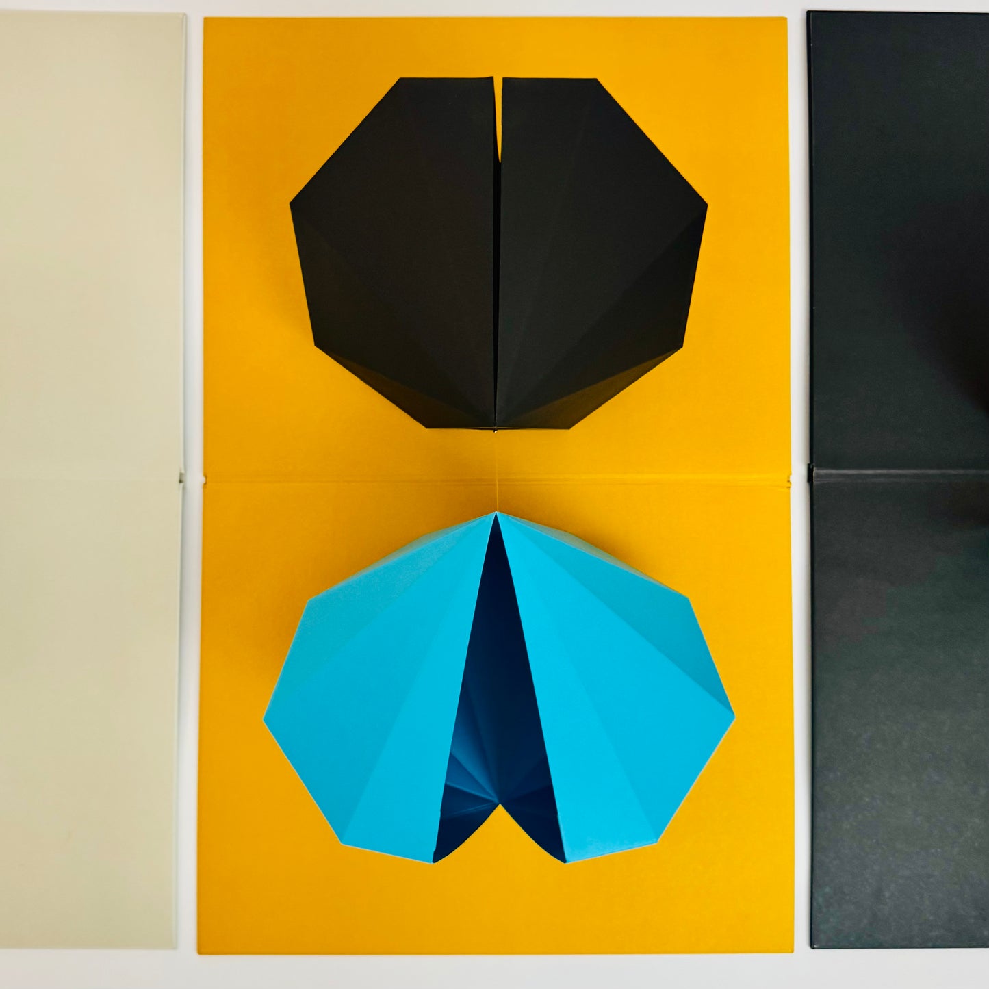 Limited Ed. Tauba Auerbach [2,3] Pop Up Folio 2011