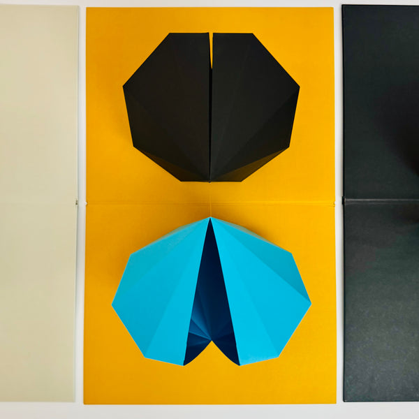 Limited Ed. Tauba Auerbach [2,3] Pop Up Folio 2011